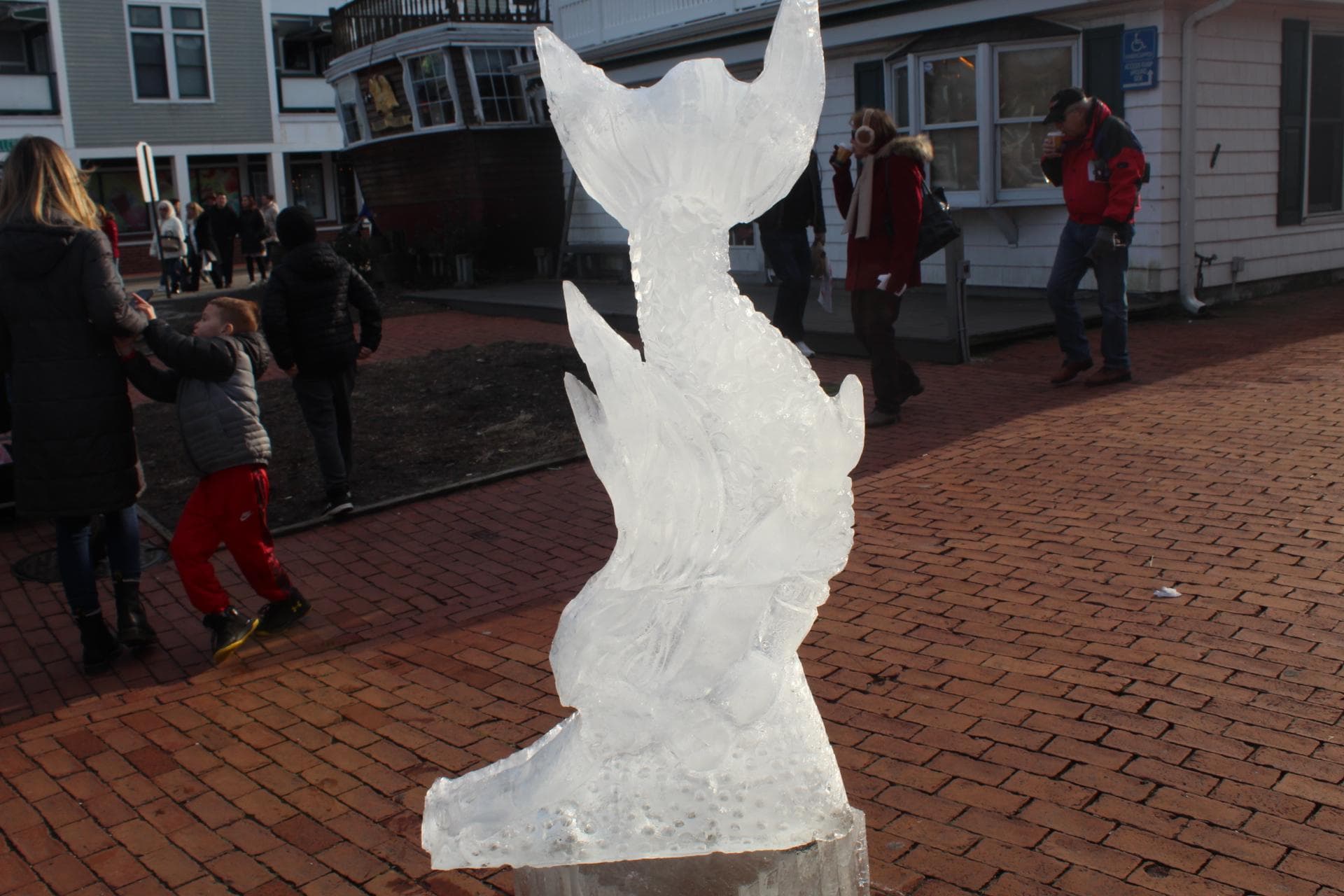 Port Jefferson Ice Festival Draws Crowds to Village =gTg=